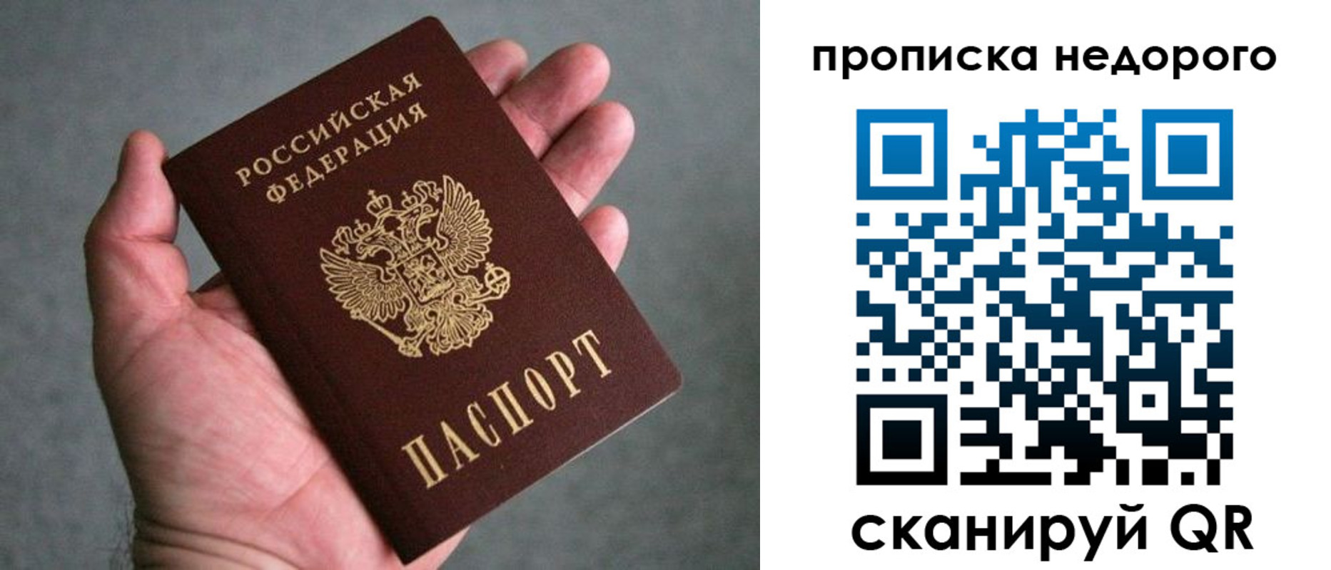 прописка поиск в Нижнекамске